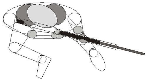 положение для стрельбы в Field Target