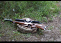 ild Target